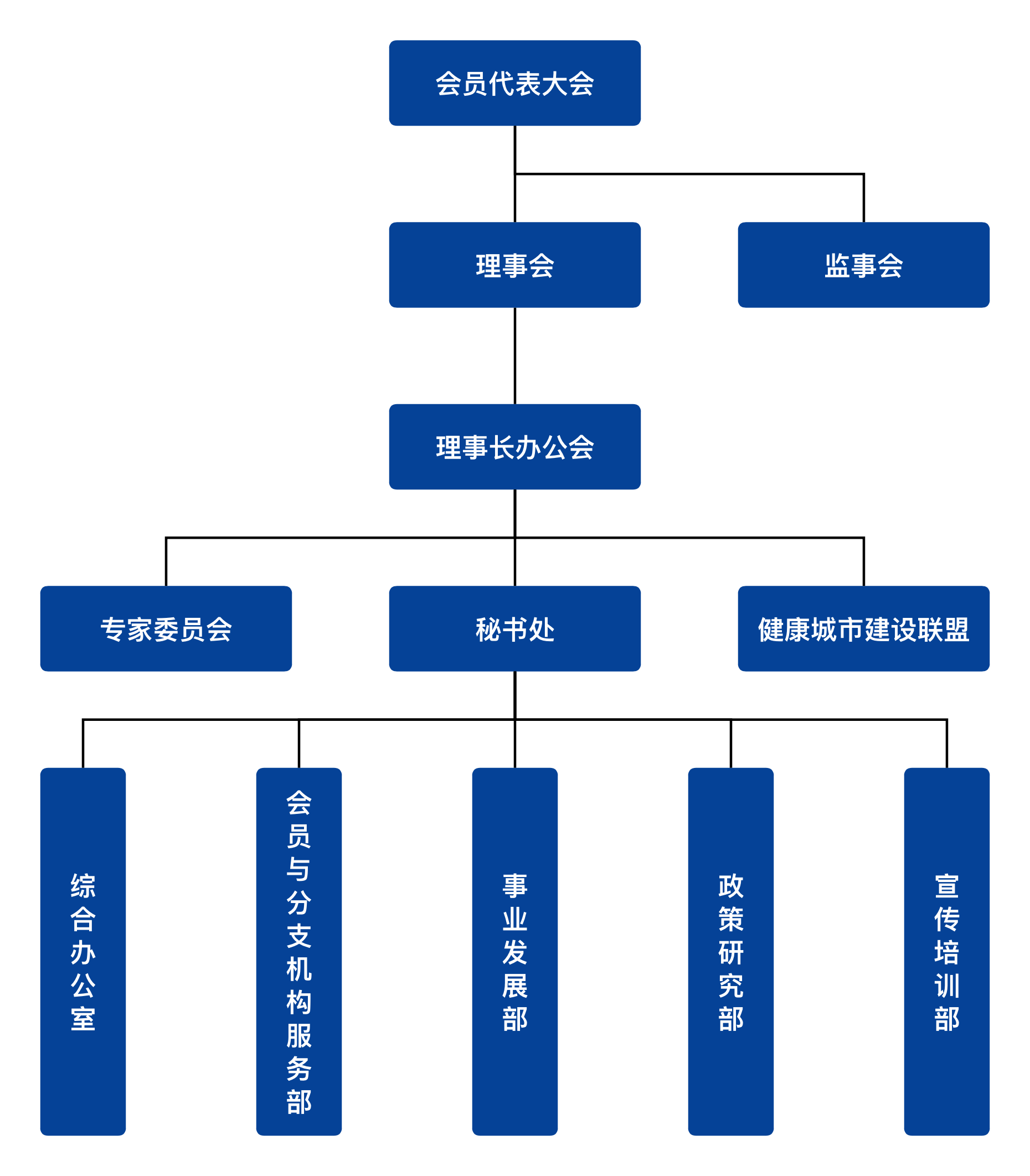 北京健康城市建设促进会组织机构图.png